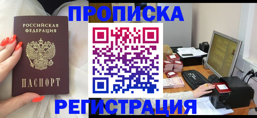 временная регистрация поиск в Сольцах